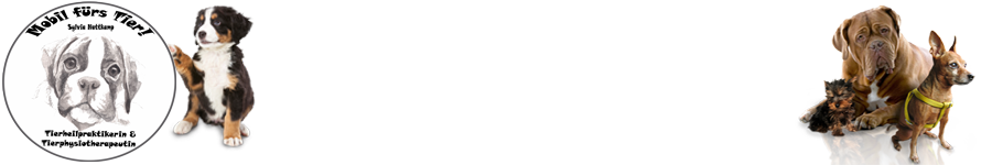 mobil-fuers-tier.de