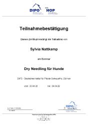 Dry Needling für Hunde 4-2022_1